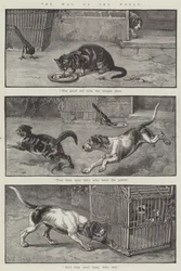 The Way of the World